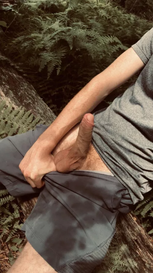 It turned out to be a perfect day for a hike. Perhaps you’d prefer to take a ride instead?