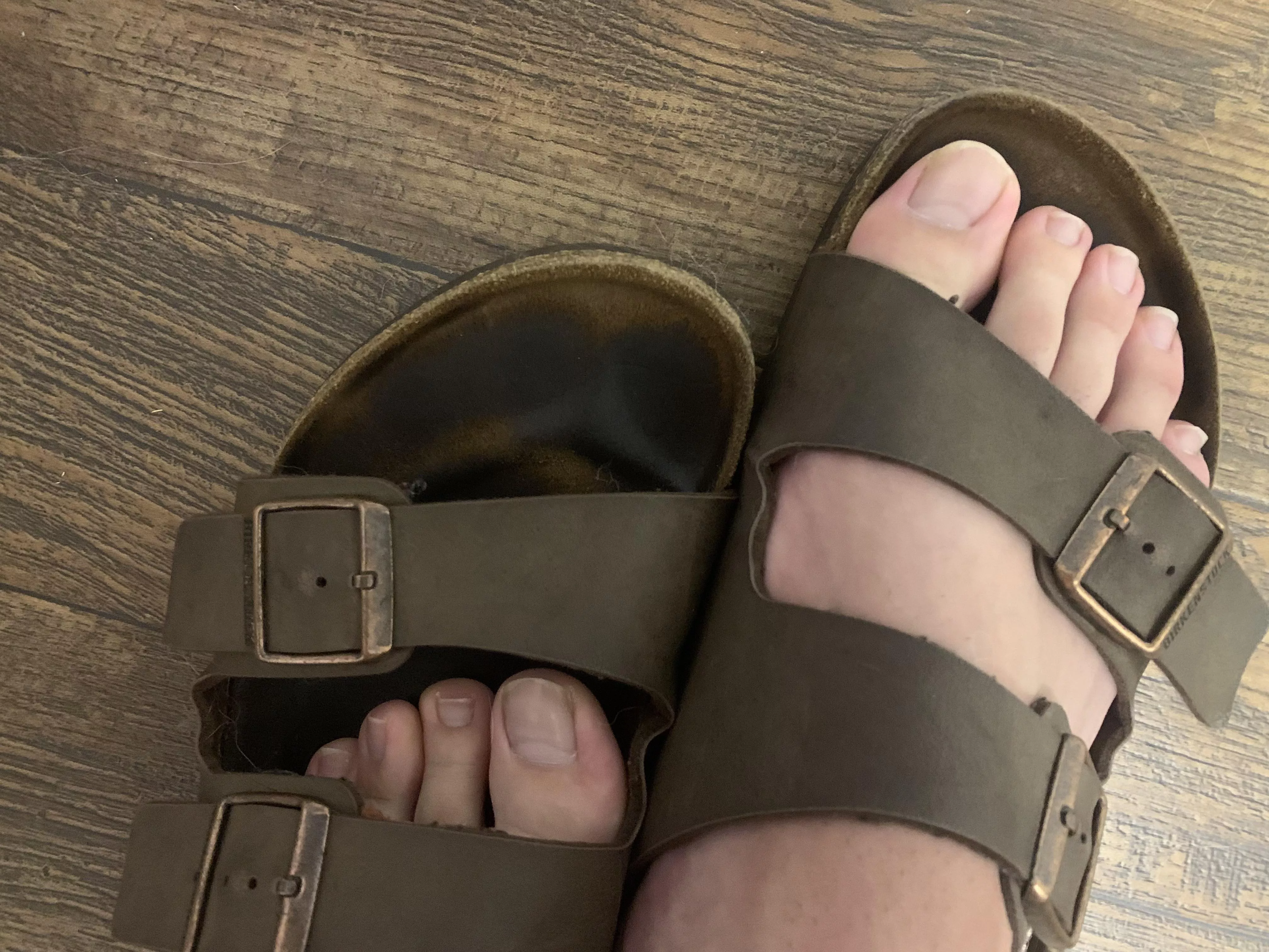 6 years worth of toe prints in these Birkenstocks 👀