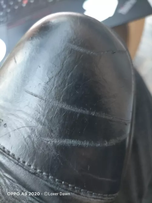 Cat played with my boots. is there anything I can do to hide them ?