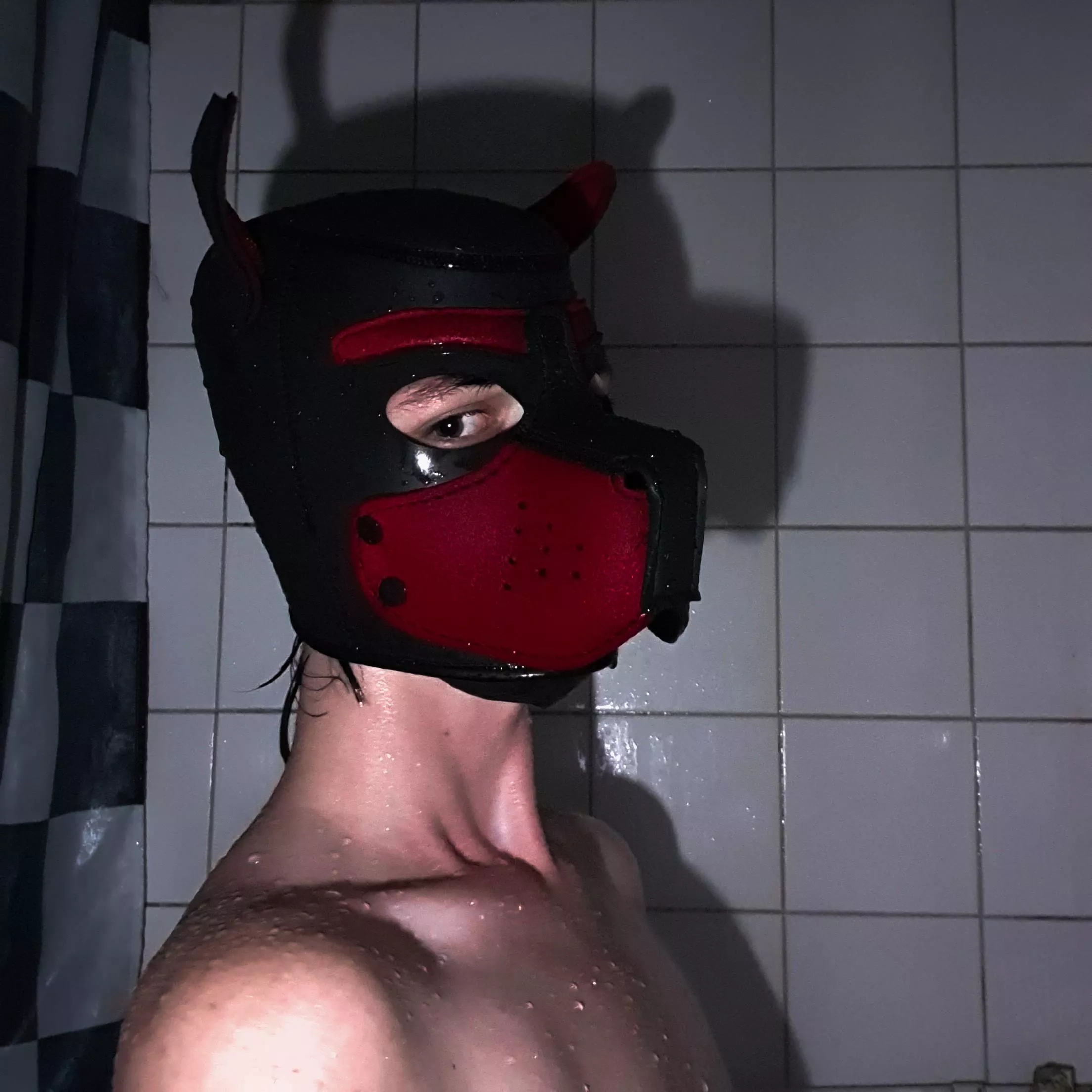Shadow pup~