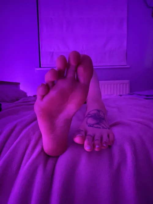 Sniff, you’ll love it