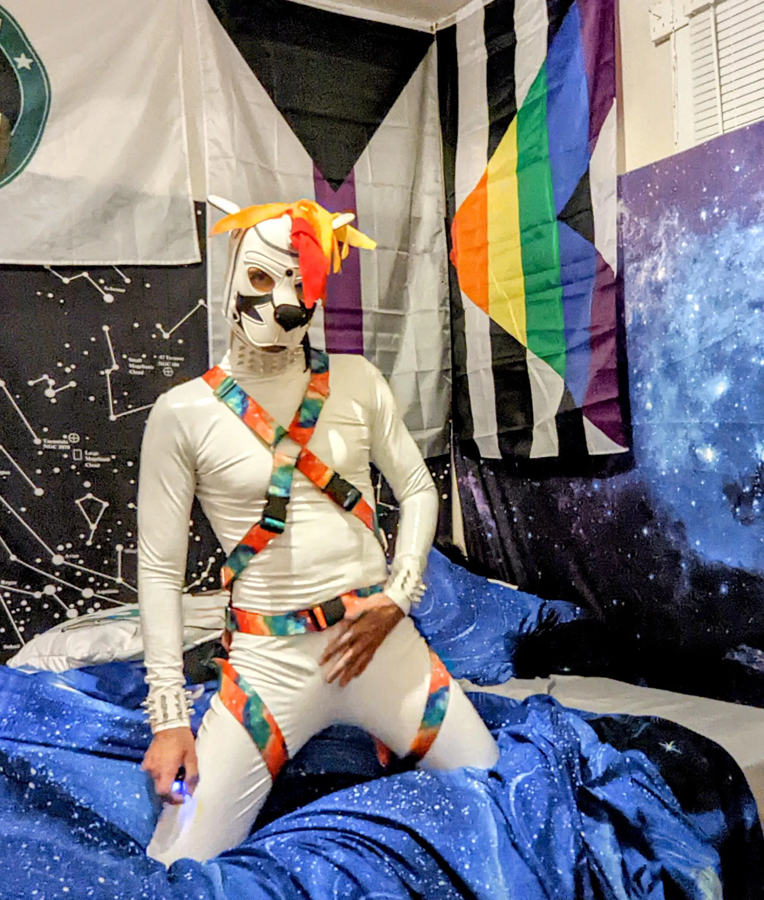 White PetDom