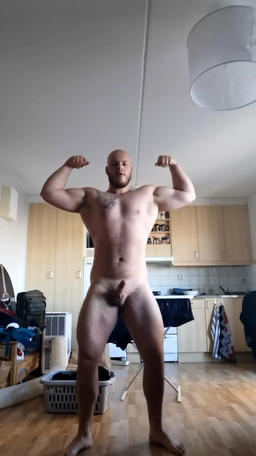 Am I a Bear?