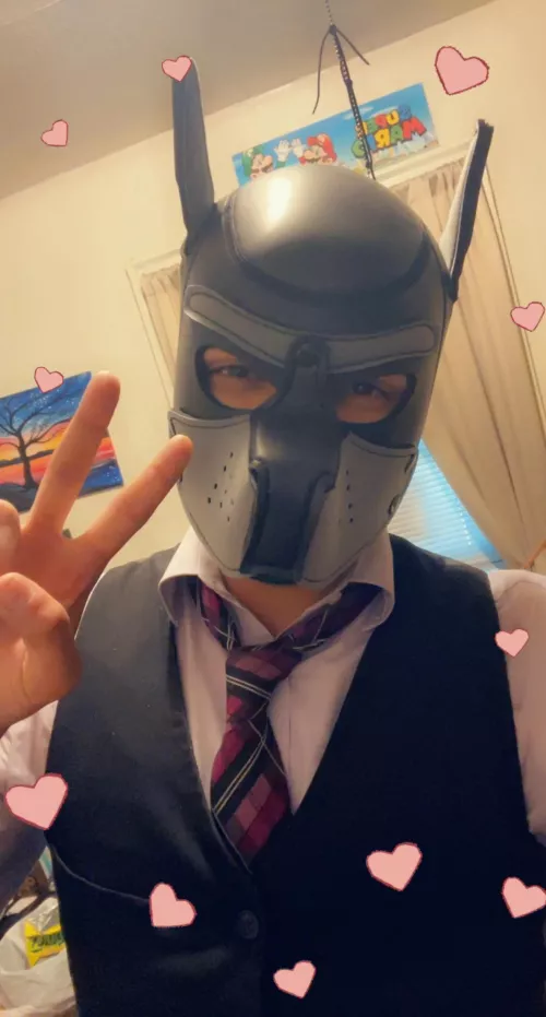 CT pups! DM me! Looking for new friends (: (anyone can DM me- btw) 😘 have a killer day, pups!