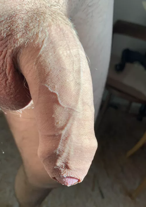 Everything the light touches is yours…