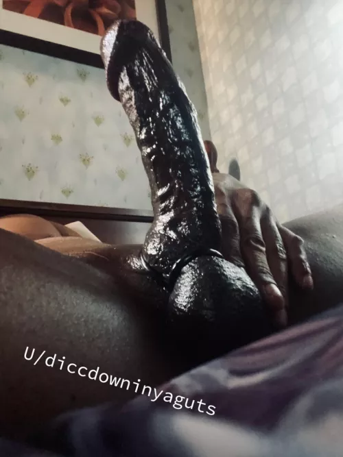 Gm from me and my cock ring who wants to help with this morning wood coconut oil bores me now.