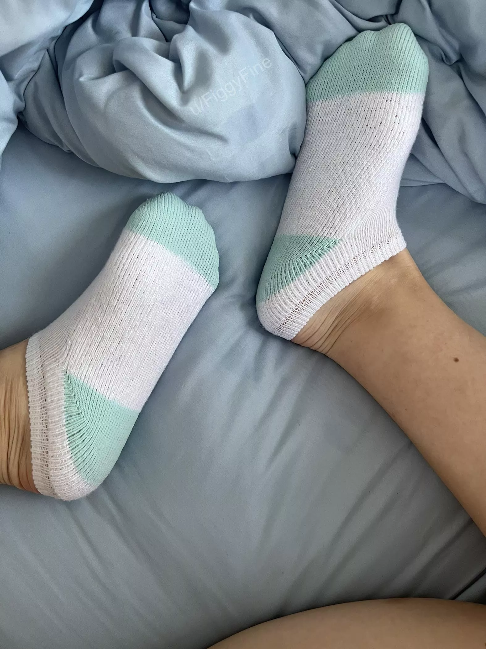 Good morning from my sweaty little feet [F] 🐳