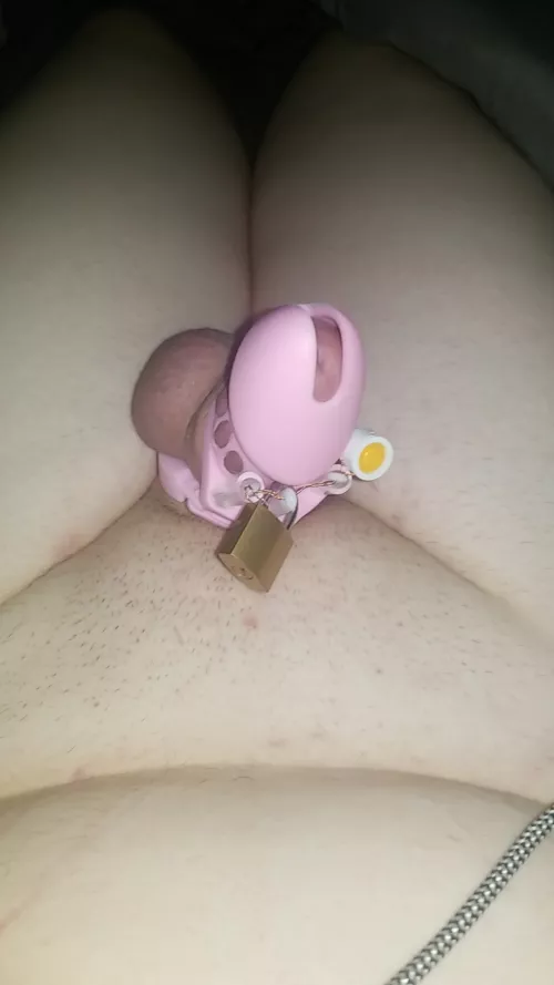 havent hpdated in a while been in chastity for about a month now, am about to start college caged❤❤❤