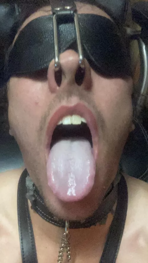 Scraps the Swine for you’re servicing