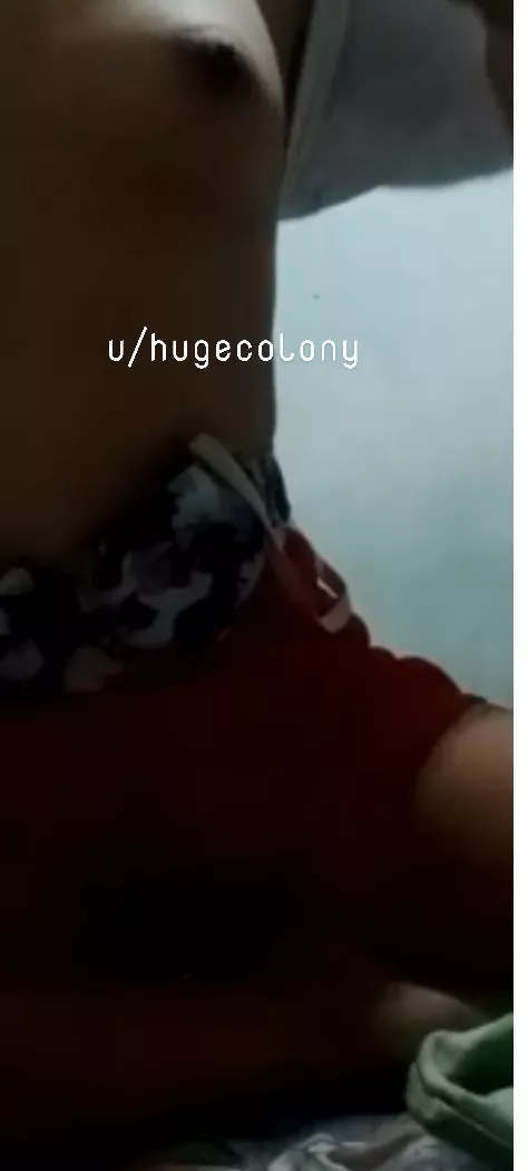 tity (f)
