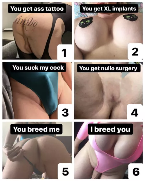 Who wants to play ‘The Bred, Bimbo, or Nullo Game’ again?? If you comment below, I’ll use a random number generator to make your pick. You are welcome to play as many times as you like!! But obvs once your nullo, you can only peg me not breed me!!!