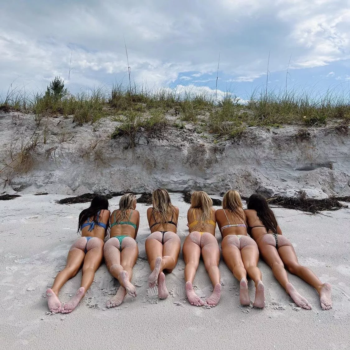 Bikini bottoms [6]