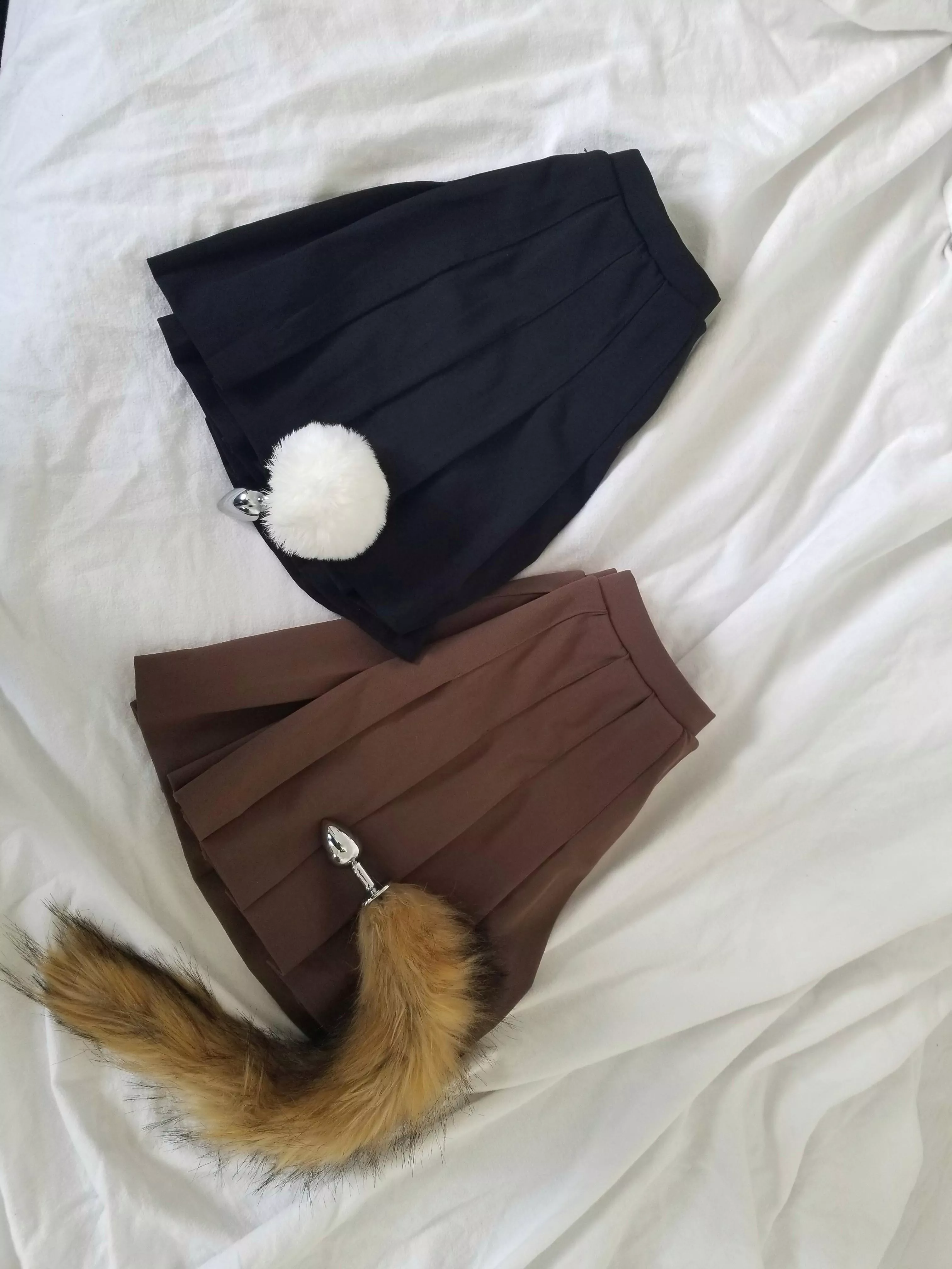 bunny or fox?