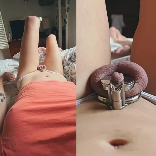 So I finally got a flat cage to try out… I feel squished 😆