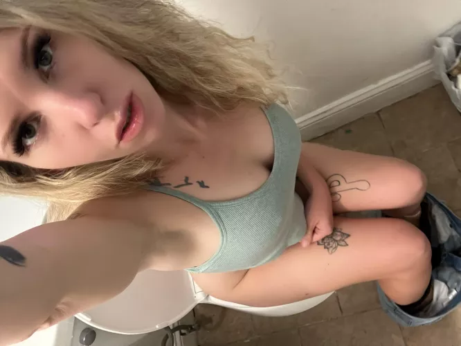 Tinkles in the evening