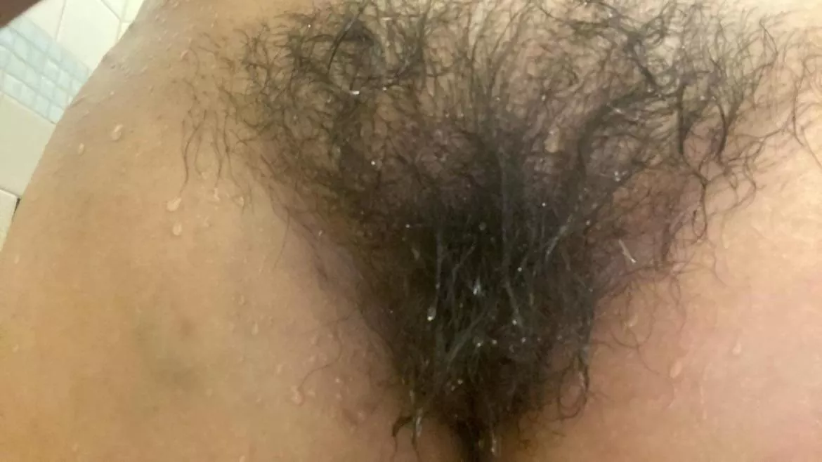 Wet Bush