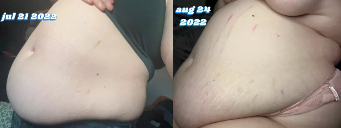 who knew i could do this much damage in just over a month? 🐷💖