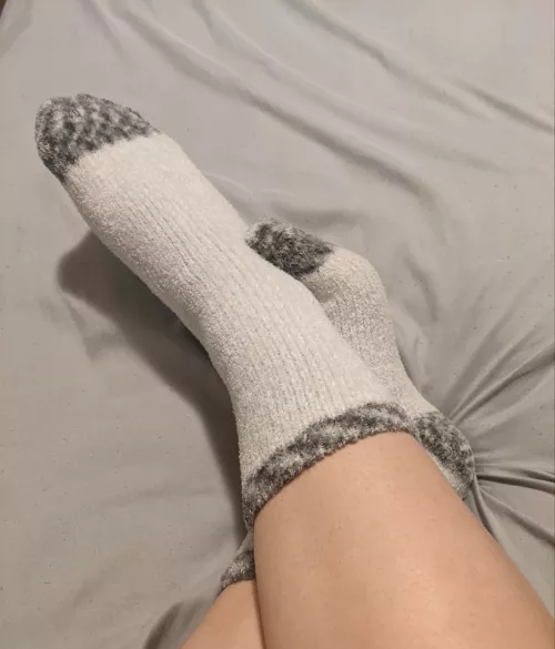 Anyone for cutesy sock content? 🫣🤭