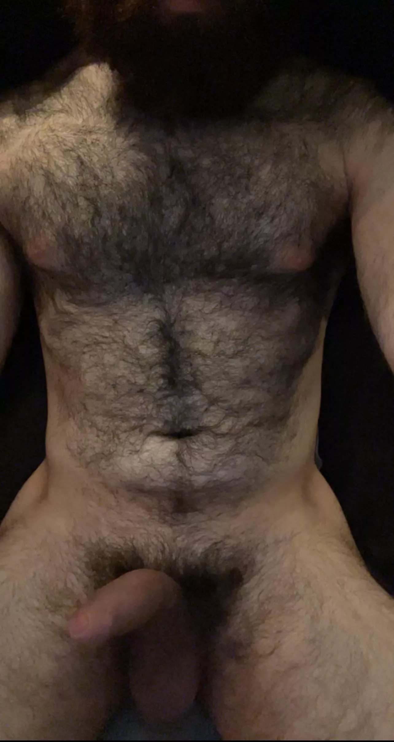 Horny morning