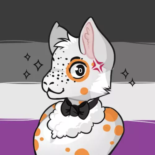 Meet Cally the calico cat