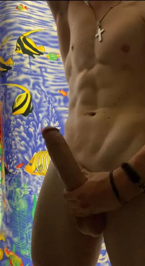 Rate everything you like