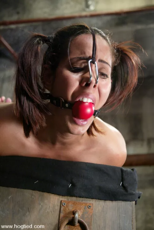A nose hook is a nice addition to a classic ball gag