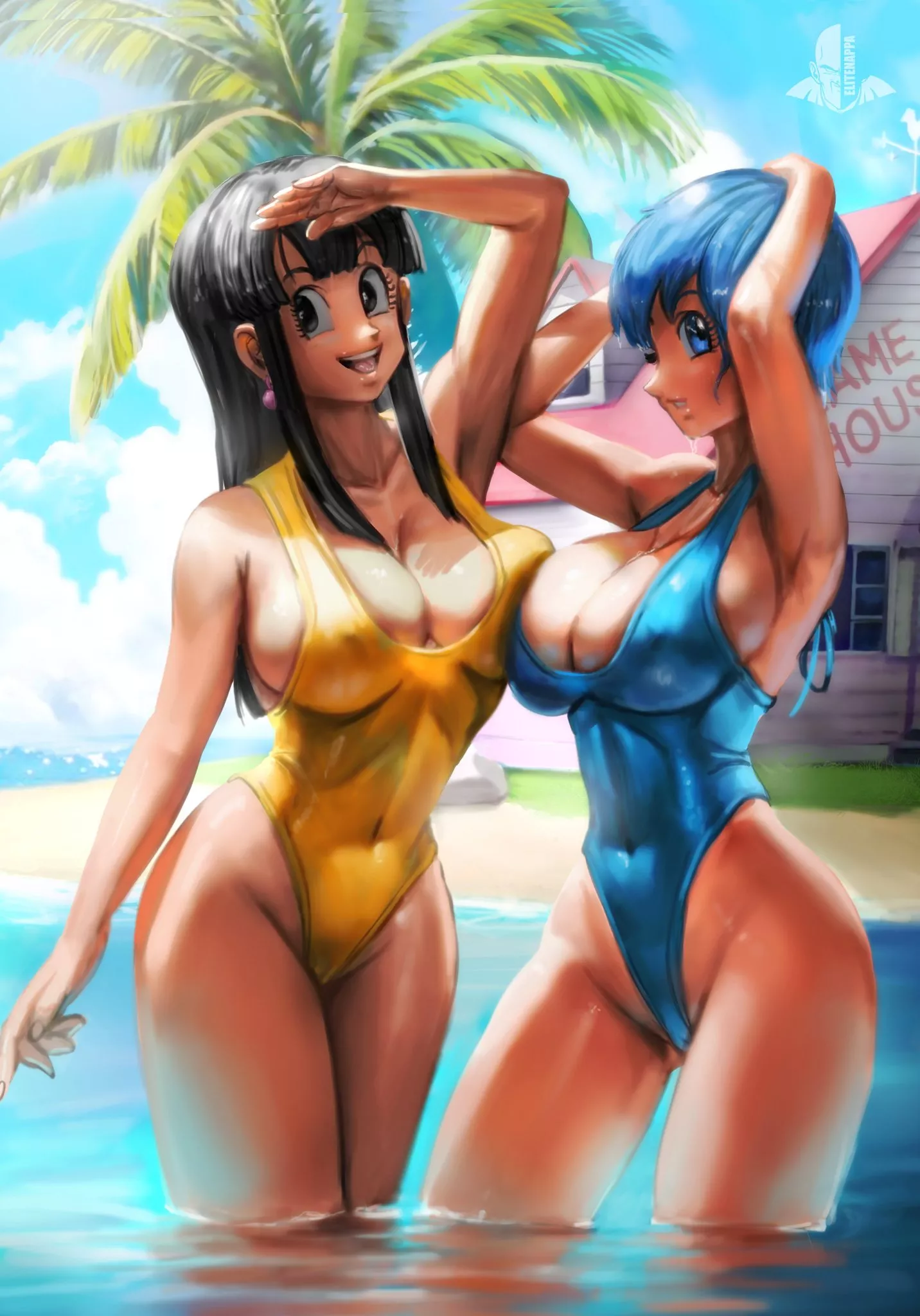 Chi-Chi & Bulma (Elitenappa) [Dragon Ball]