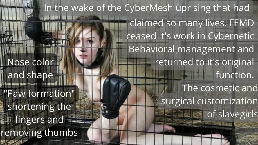 FEMD Returns to basics. (Story in Comments)