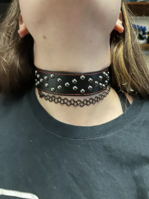 I put a collar on my wife today. I plan on making her obidient. Here’s to a long and painful journey