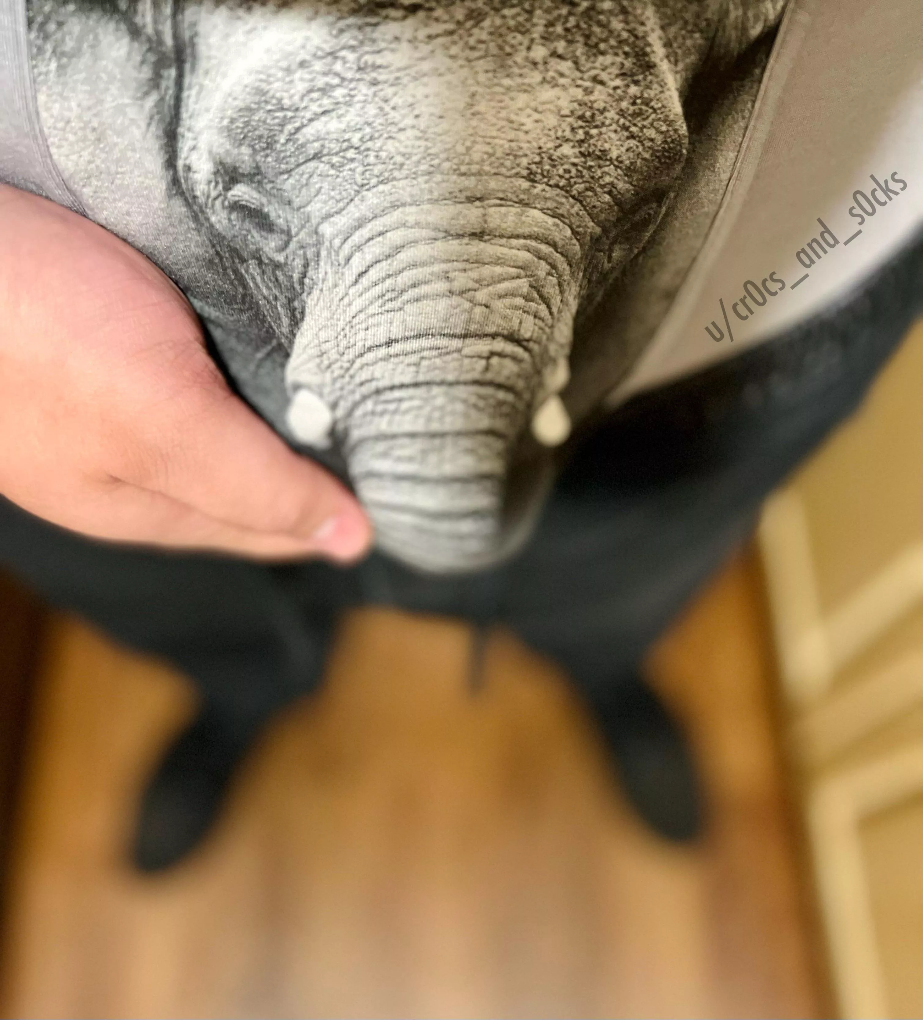 Junk is a trunk