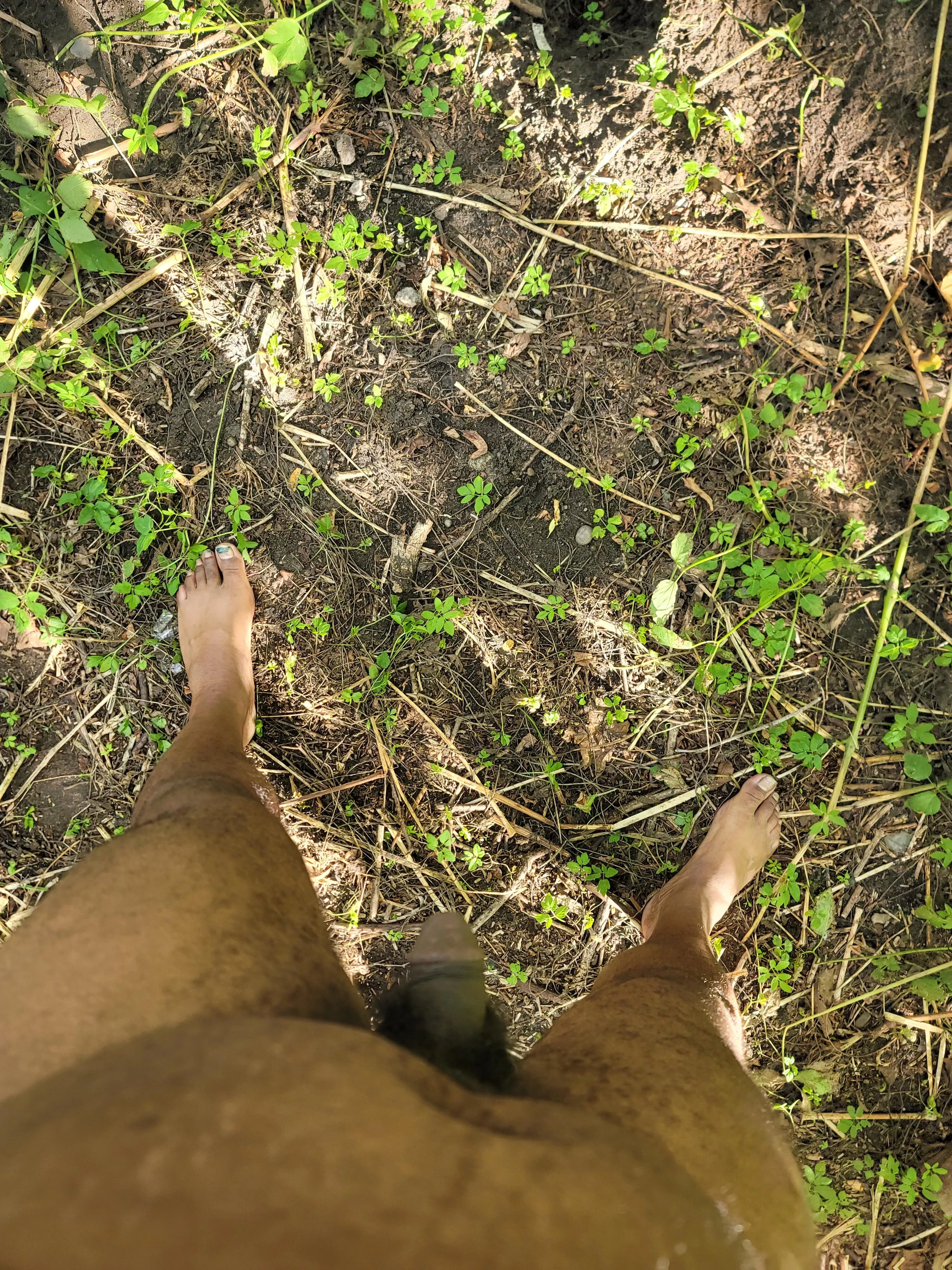 nature walk anyone?