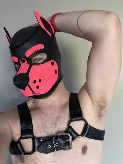 Good boys will lick 👅