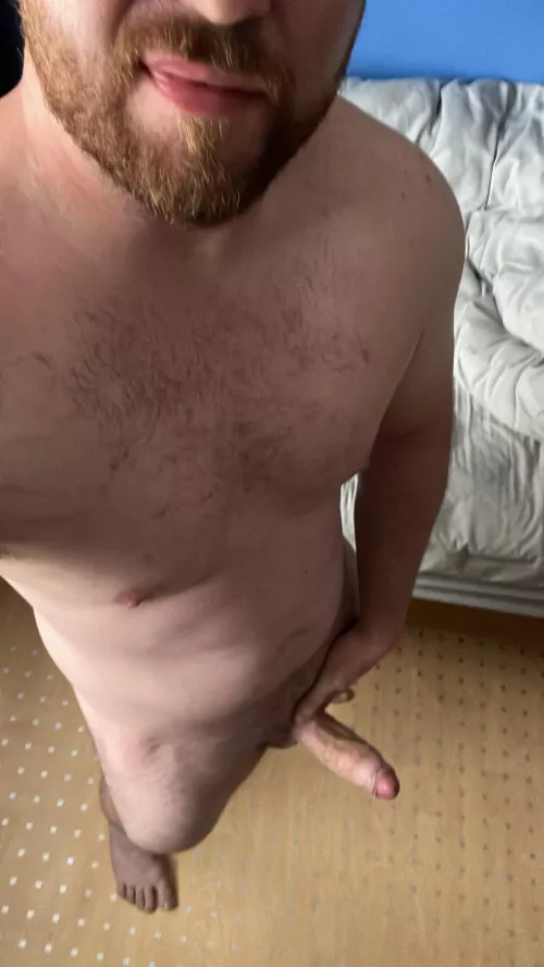 Hoping this distracts you from my unmade bed