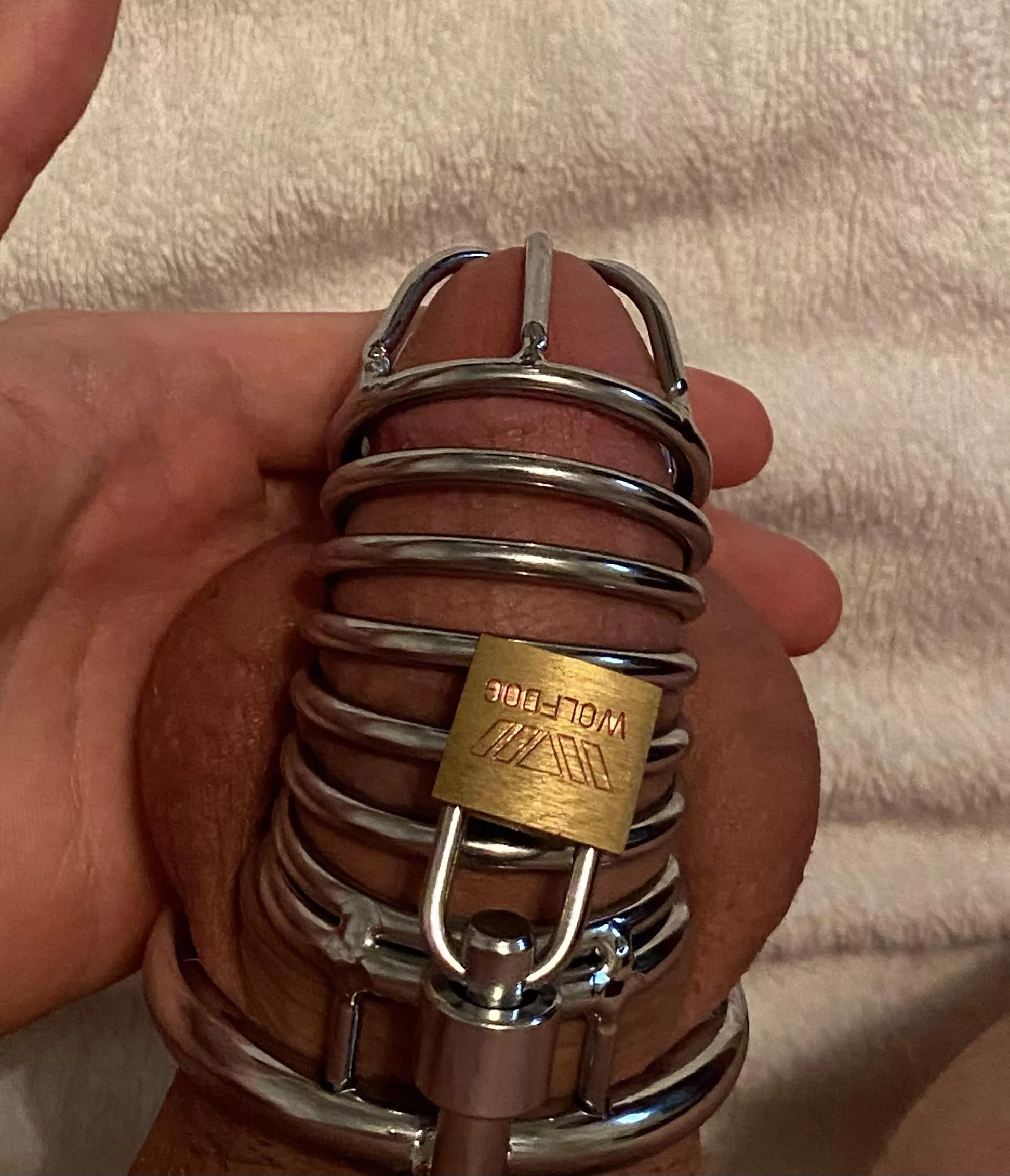 How long should I be caged for? I’ve already been caged for 2 days now and it’s the longest I’ve gone How long should I be caged for? I’ve already been caged for 2 days now and it’s the longest I’ve gone