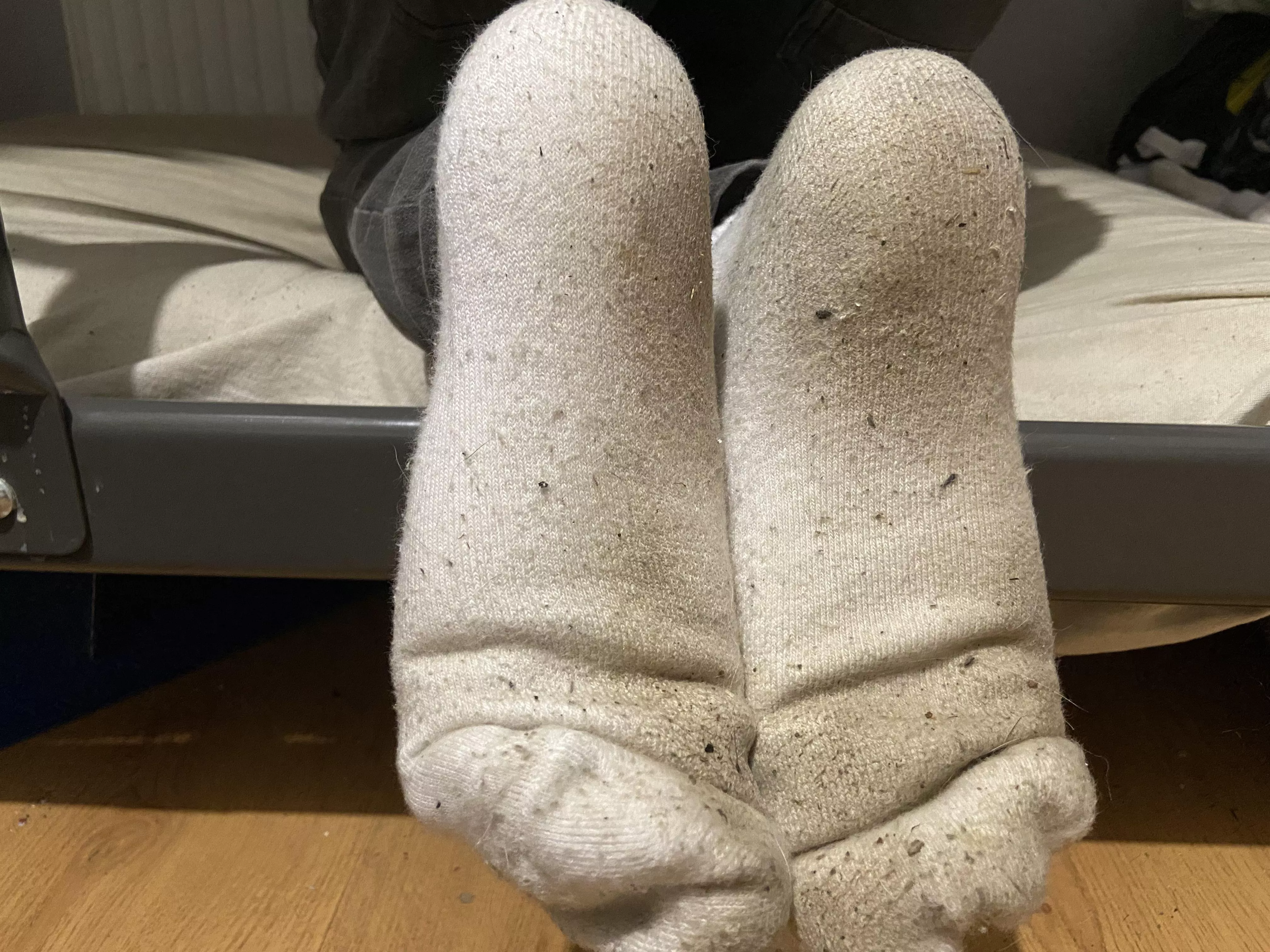 Want a sniff?😍