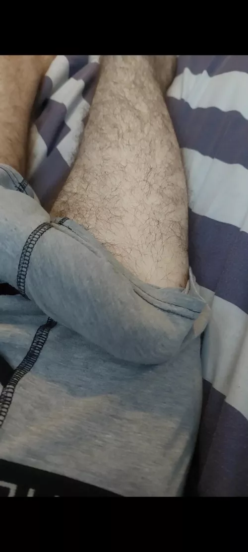 look at how hard my dick is from my pants should I get it out dms are open