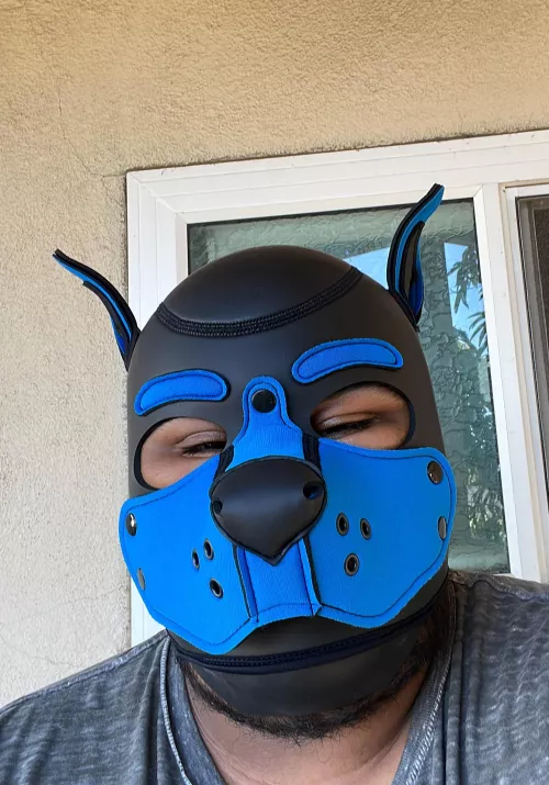 My first pup hood