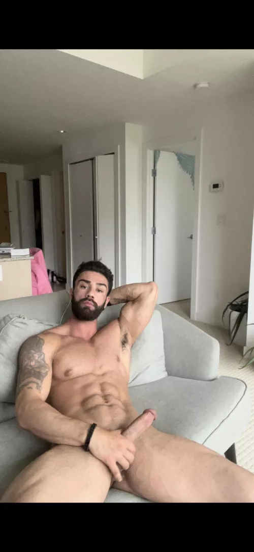 Tell me I’m the king