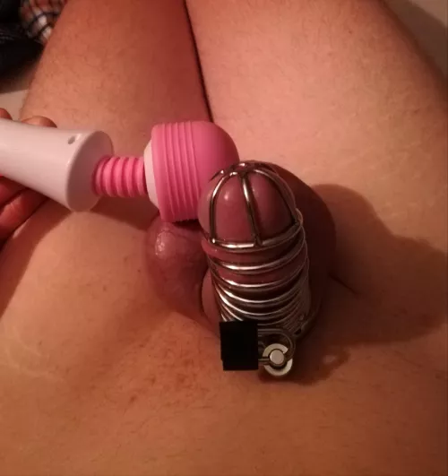 Vibrator on his cage after one month in chastity, but I stopped before he was able to release.