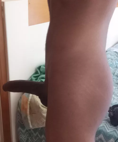 18 uo virgin dick. Guess the size