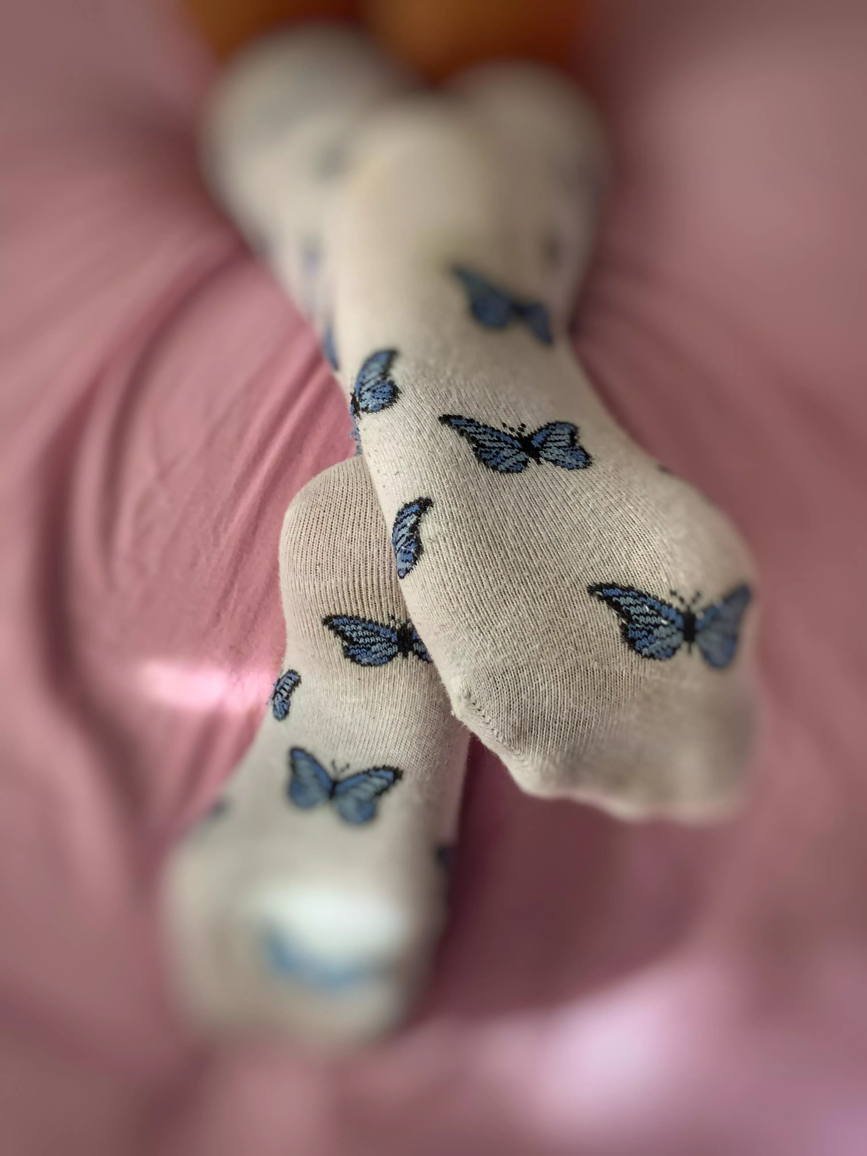 Bunnypaws69
