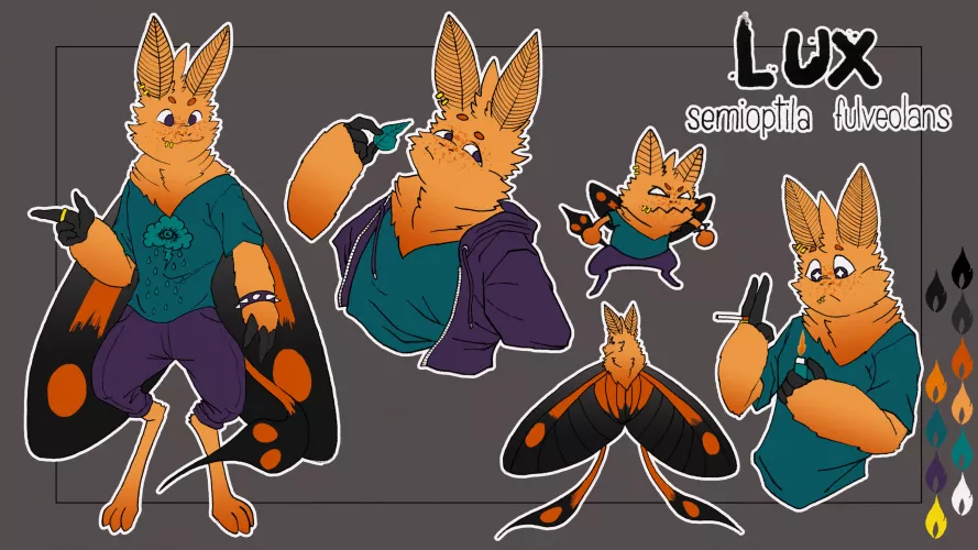 Finally got to make a new ref sheet for my sona! This is Lux, my moth boi <3