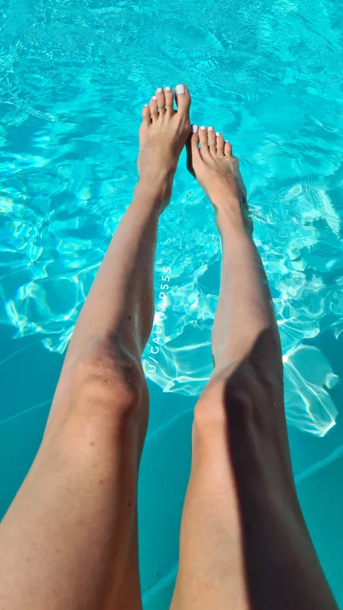 Imagine you're swimming and meet these beauties, what would you do?