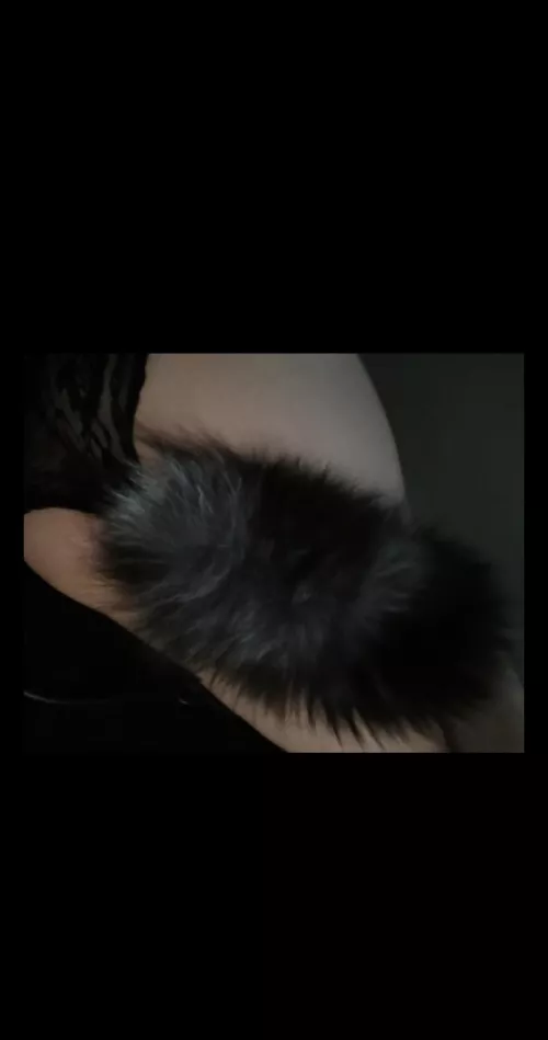 let me be your femboy kitty 😽