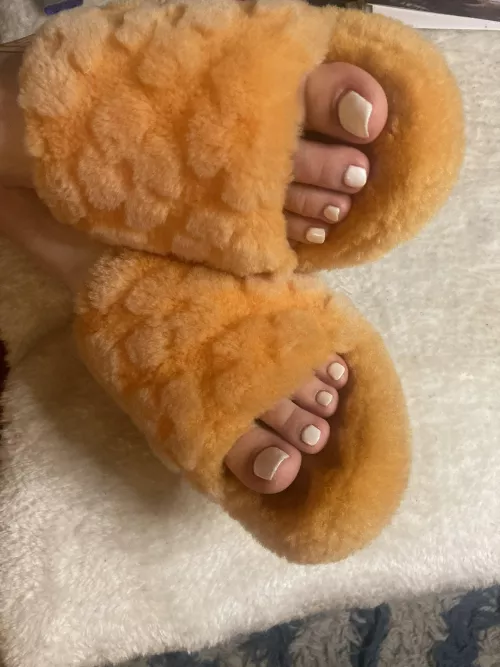 PAWG with gorgeous feet- foot fetish content 👣 🤍 pictures, videos, customs, sexting 🦶🏻🐇