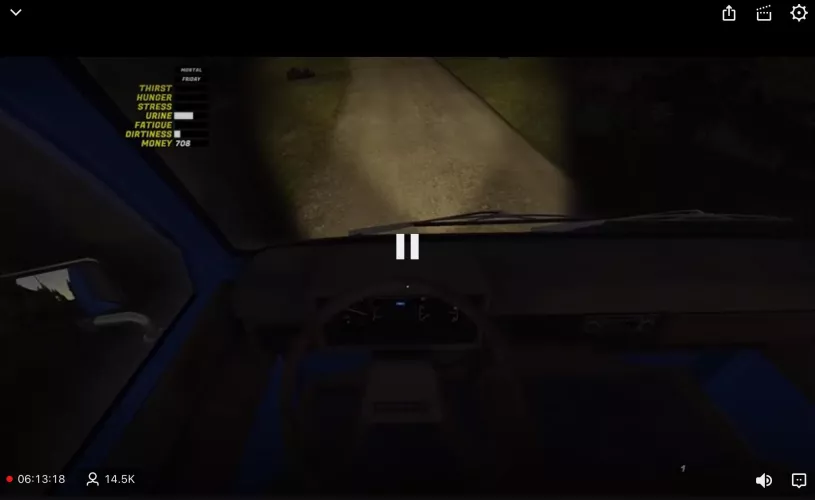 Picture-In-Picture button not showing up after update on iOS