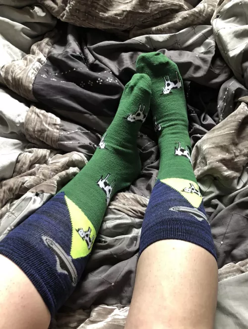 Some of my fav socks