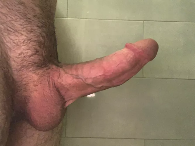 (18) Is it normal that it always gets hard when I’m in the shower?