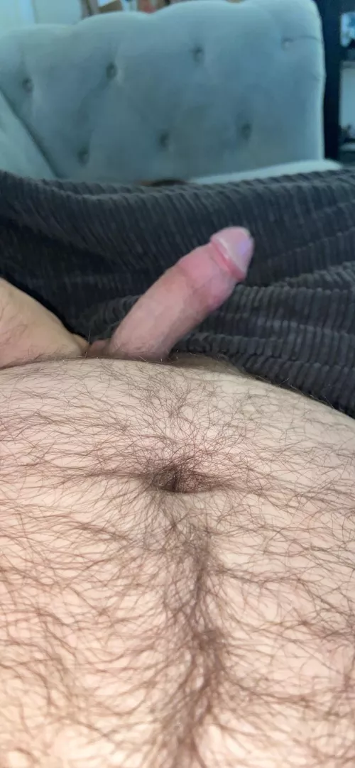 Rub that hairy belly while you suck me