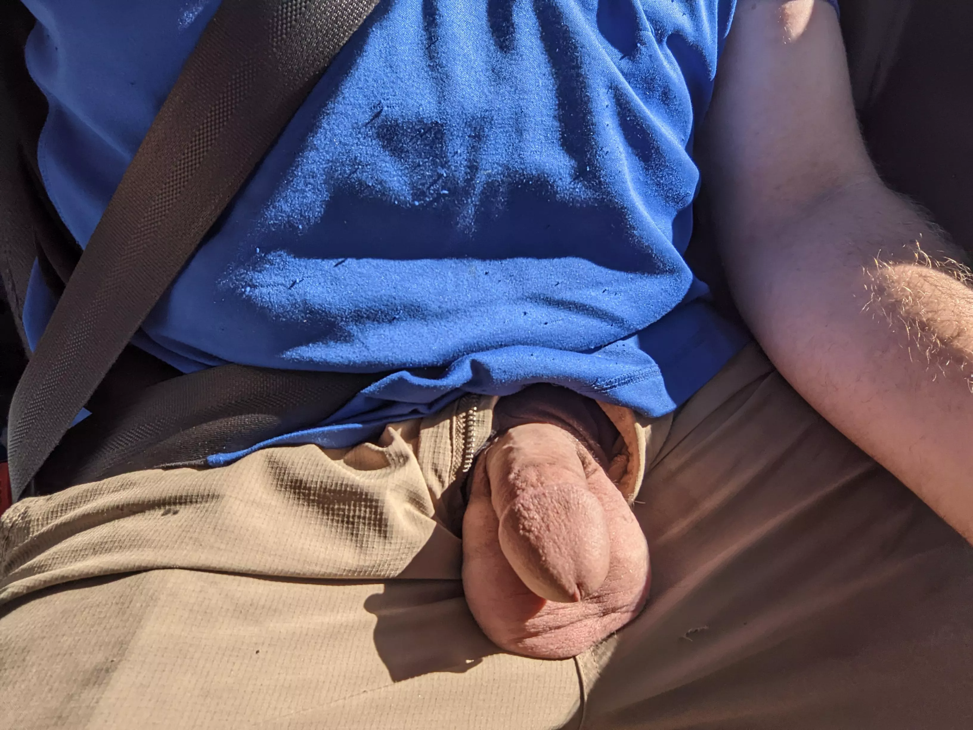 Softie in the sun